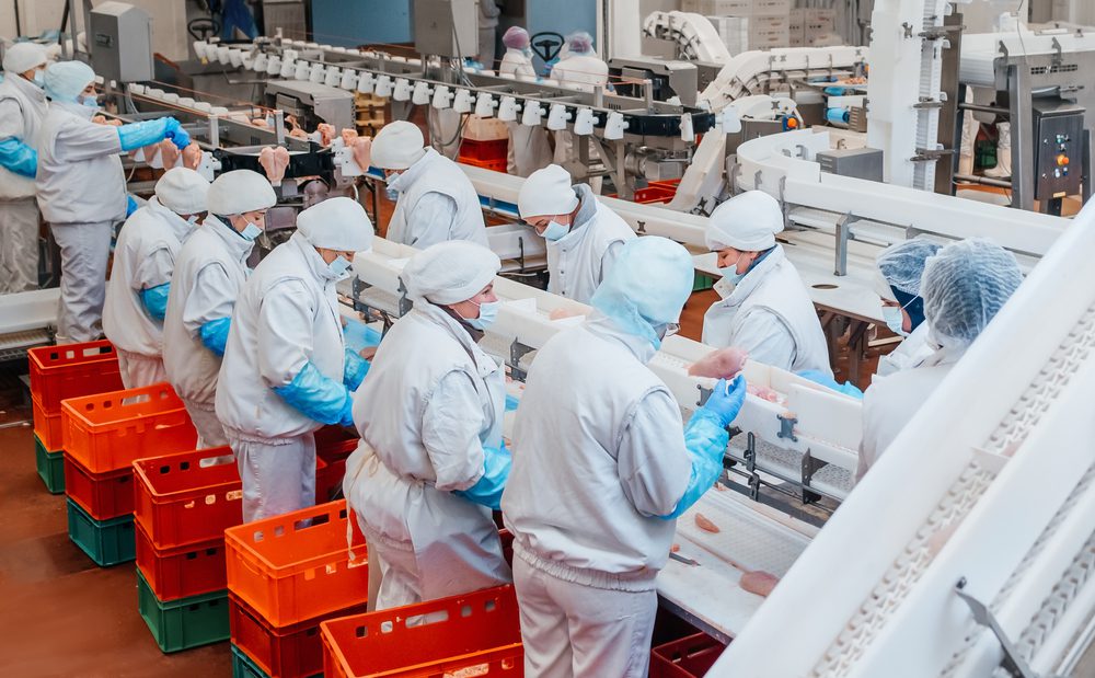 How to Maintain Knife Sharpness in Industrial Meat Cutting