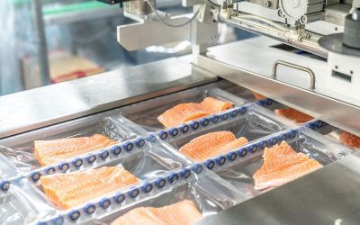 Industrial Packaging Knives: MRMK’s Cutting-Edge Solutions for Efficient Operations